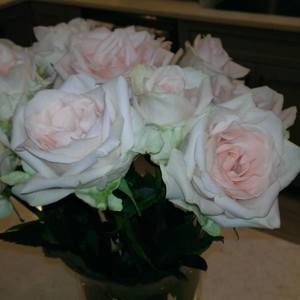 Meet your Posher, Ramona